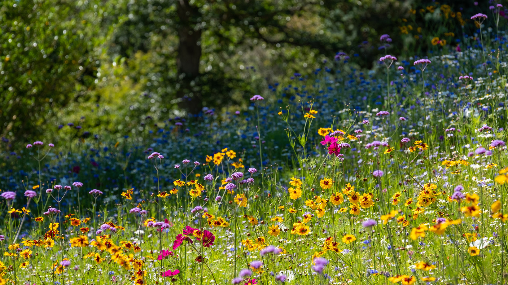 TR102SI-trajnostni-razvoj-okolje-okoljski-vplivi-main-Krka-biodiverziteta-c1640x920-M21-1